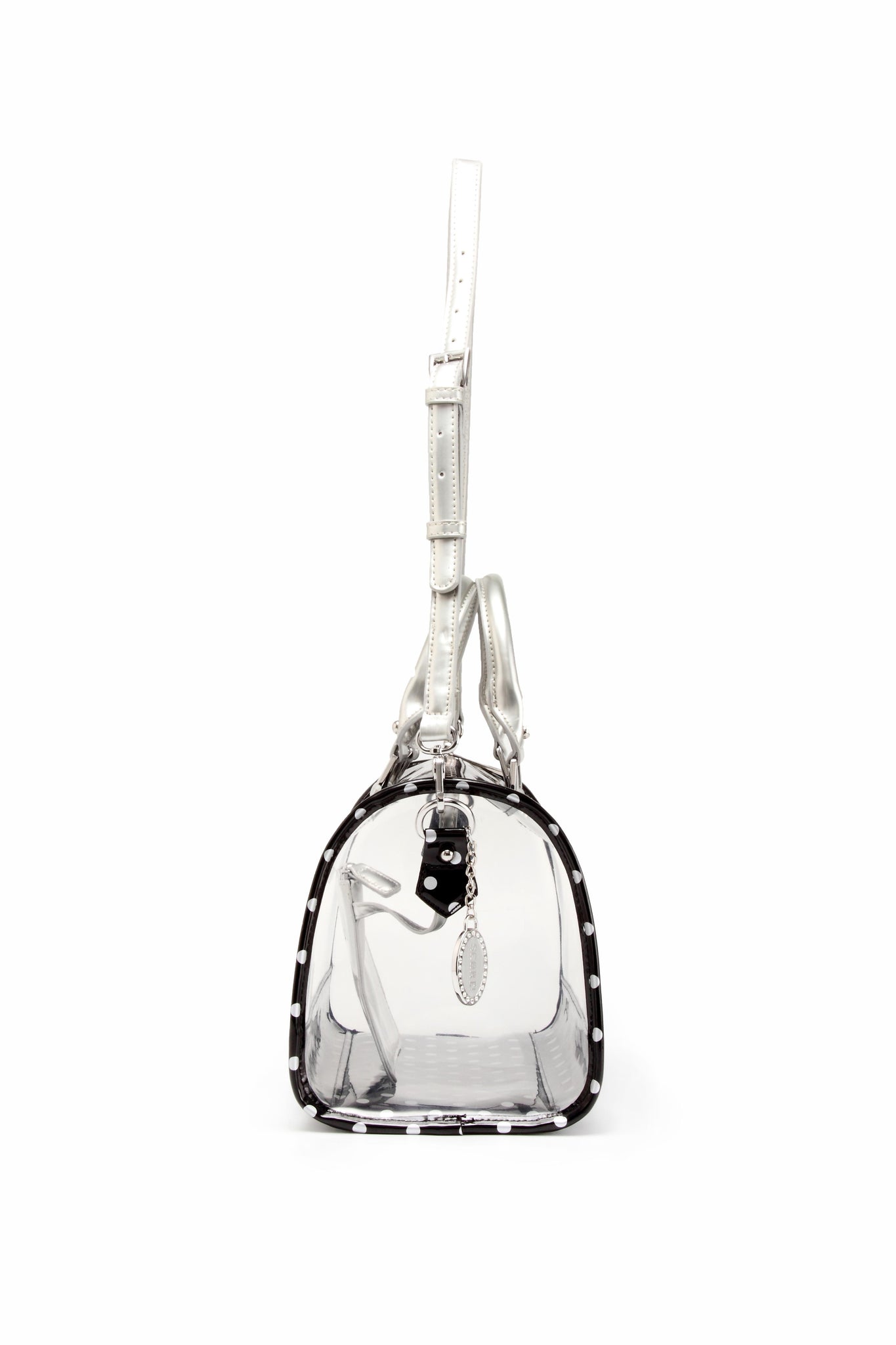 Louis Vuitton Clear  Louis vuitton handbags, Clear handbags